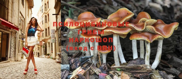 не бодяженный Михайлов