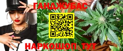 дурь Шелехов