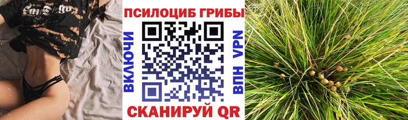 Псилоцибиновые грибы Magic Shrooms  где купить наркотик  Шуя 