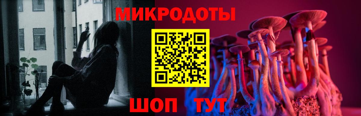 Шуя  Галлюциногенные грибы мицелий  Вход с VPN 
